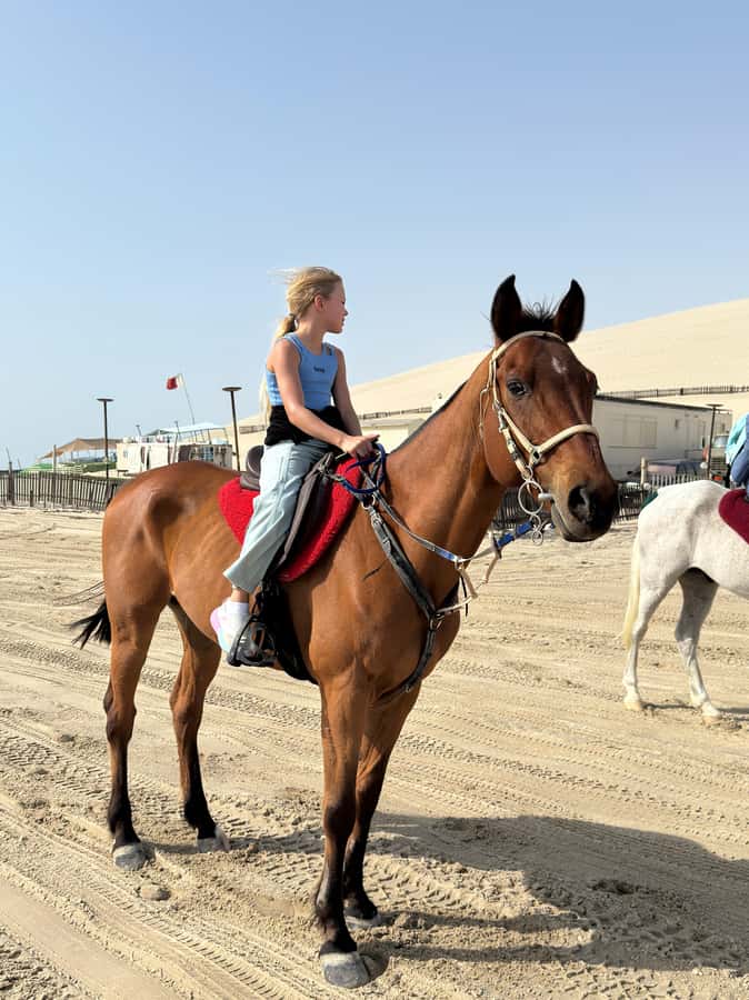 Doha: Arabian Horse Riding Experience –Sea or Desert Options - Adding the 4x4 desert safari