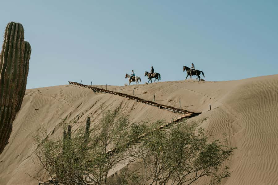 Doha: Arabian Horse Riding Experience –Sea or Desert Options - Heat, clothing, and who should skip it