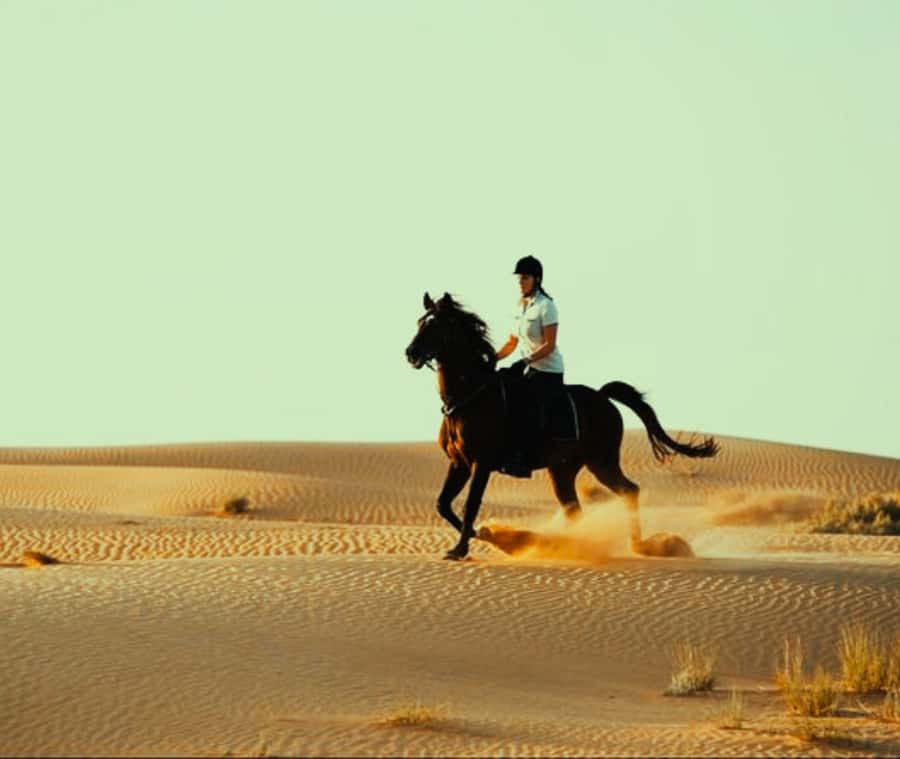 Doha: Arabian Horse Riding Experience –Sea or Desert Options - The people make the outing work
