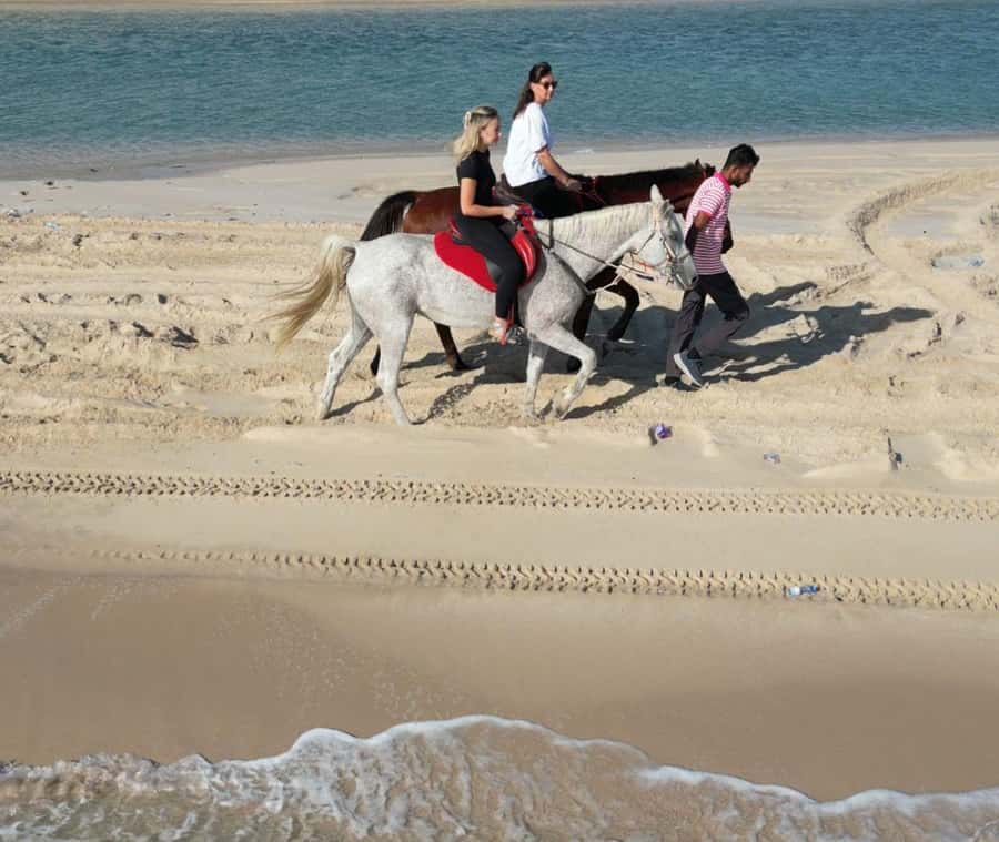 Doha: Arabian Horse Riding Experience –Sea or Desert Options - The drive from Doha to Al Wakrah Municipality