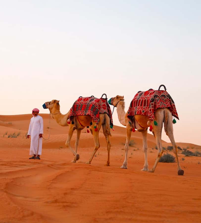 Doha: ATV/Desert Safari with Activities and Inland Sea Stop - Sandboarding on the Golden Dunes
