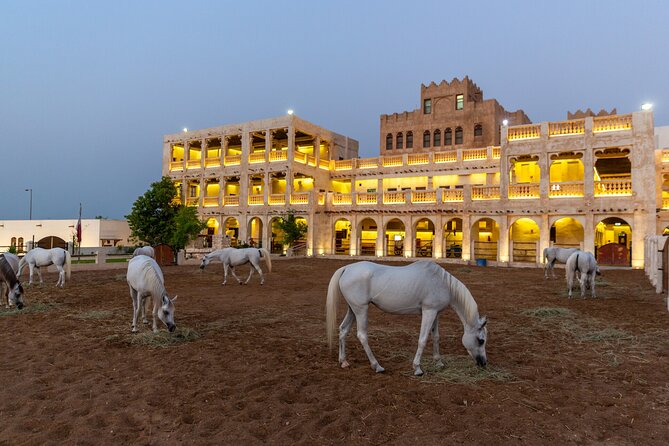 Doha City Highlights Guided Tour With Dhow Cruise - Katara Cultural Village in 65 minutes