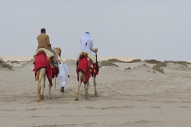 Doha Combo City And Half Day Desert Safari Tour No Hidden cost - Doha Corniche and the first look at the bay