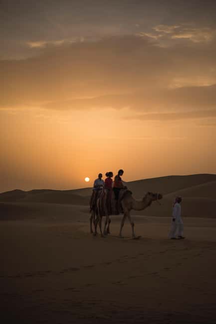 Doha Desert Excursion, Camel Ride, Inland sea, Sandboarding - Timing, pickup, and practical planning