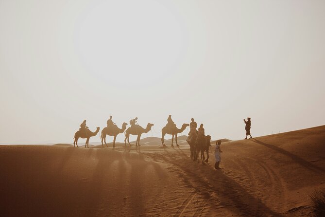 Doha Desert Excursion Dune Bashing Sandboarding Camel Ride - Sandboarding and the camel ride