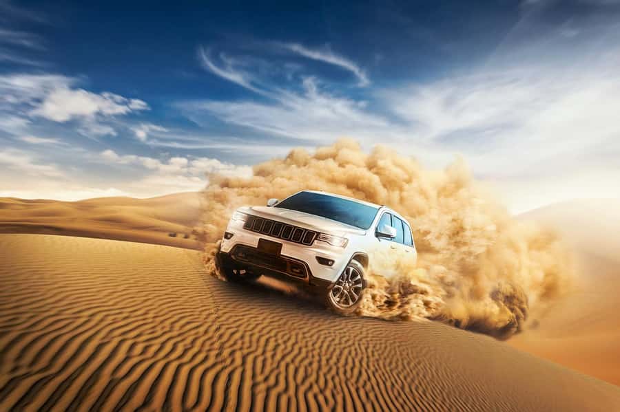 Doha Desert Safari, Camel Ride, Sandboarding & Inland Sea - Key points to know before booking