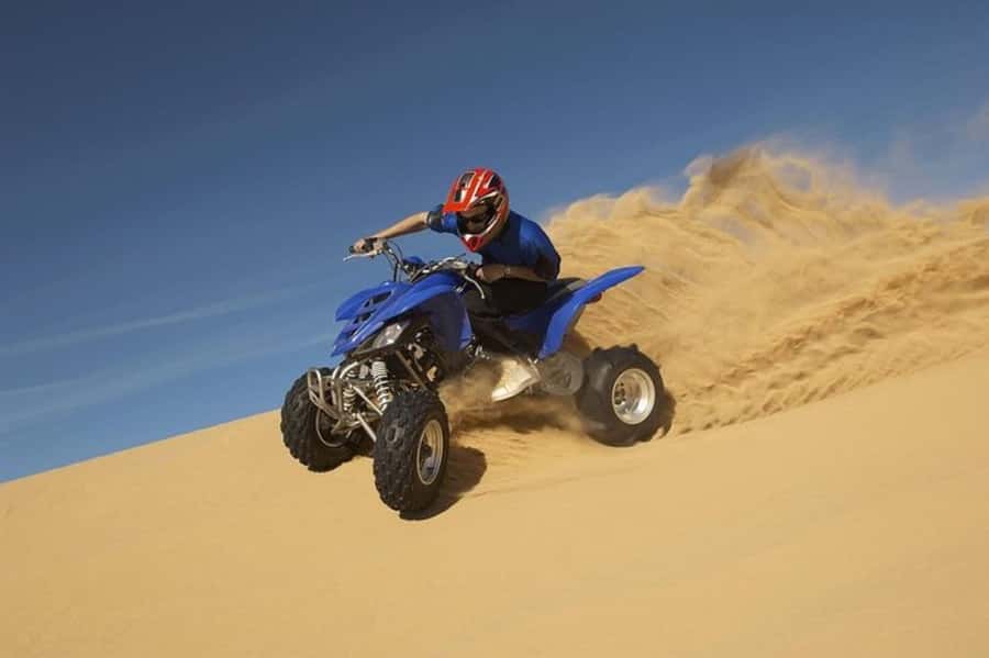Doha Desert Safari, Camel Ride, Sandboarding & Inland Sea - Guides, language, and the value of a small group