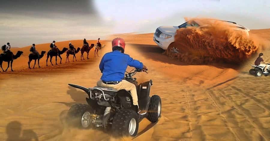 Doha Desert Safari, Camel Ride, Sandboarding & Inland Sea - Small practical details that improve the day