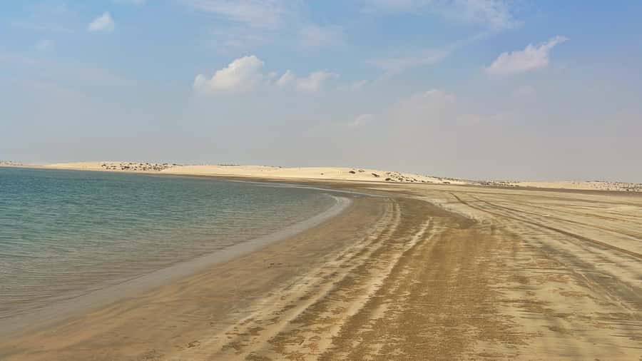 Doha: Desert Safari, Dune Bashing, Inland Sea With Transfers - Who should book this desert safari?