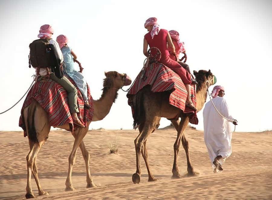 Doha: Desert Safari Dune Bashing, Sandboarding, & Camel Ride - Dune bashing over Qatar’s high dunes