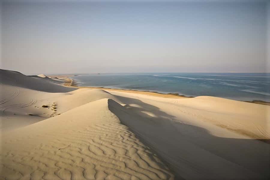 Doha: Desert Safari Dune Bashing, Sandboarding, & Camel Ride - The Inland Sea and Gulf shoreline