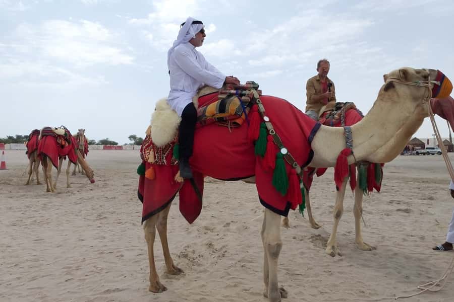 Doha: Desert Safari Dune Bashing, Sandboarding, & Camel Ride - Should you book this Doha desert safari?