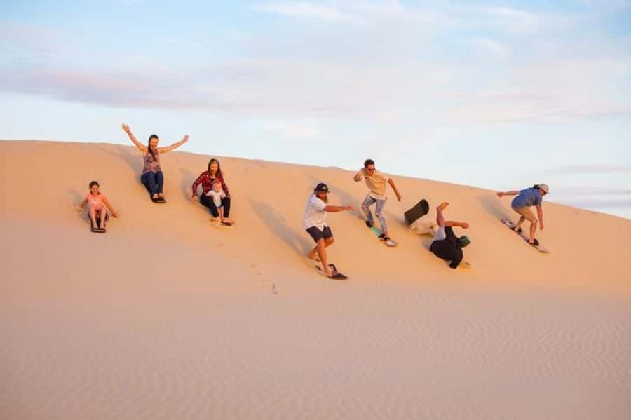Doha: Desert Safari, Dune Bashing, Sandboarding, Camel Ride - Camels, falcons, and the short camp stop