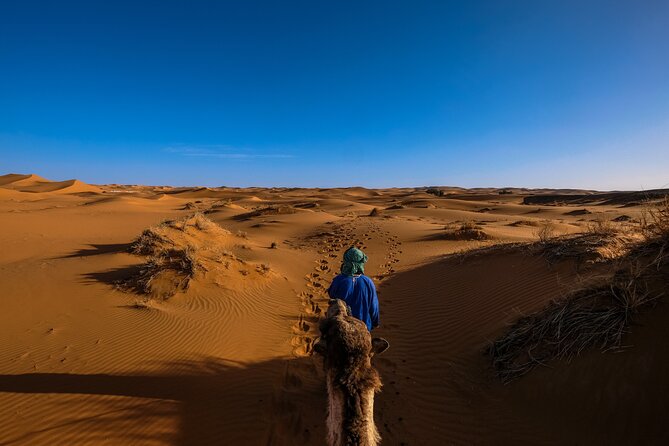 Doha Desert Safari Dune bashing,Sandboarding,CamelRide,Inland Sea - The Inland Sea near Saudi Arabia