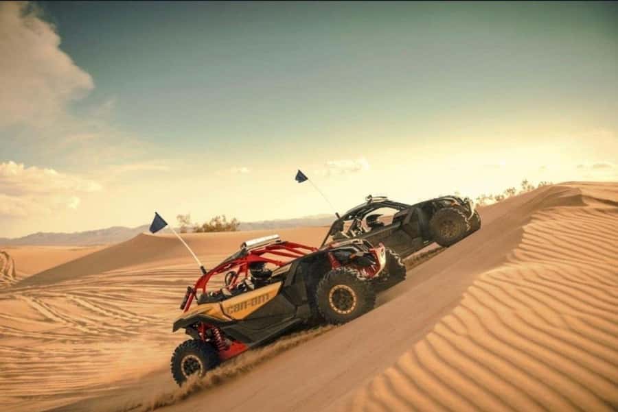 Doha: Desert Safari, Quad Bike, Camel Ride & Inland Sea Tour - Guide quality is a major part of the value