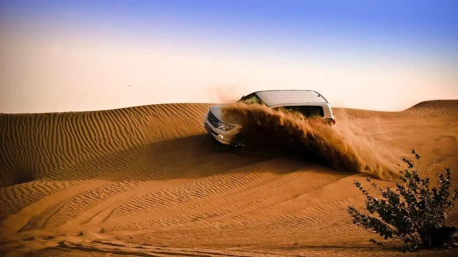 Doha: Desert Safari, Sandboarding, Camel Ride and Inland Sea - From Doha to the open sand