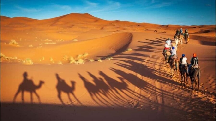 Doha: Desert Safari, Sandboarding, Camel Ride and Inland Sea - The return drive and what the timing means