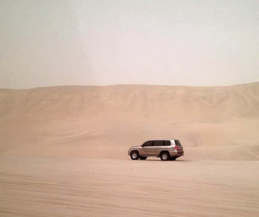 Doha Desert Safari: Sandboarding, Camel Ride & Swimming Fun - From Doha to the open desert