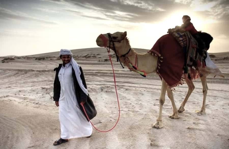 Doha Desert Safari: Sandboarding, Camel Ride & Swimming Fun - Dune bashing across Qatar’s golden sand