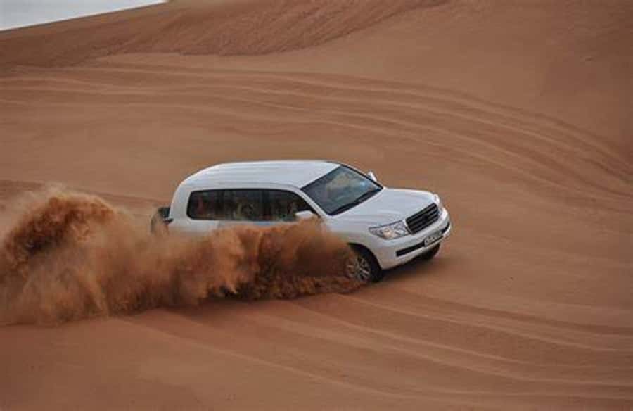 Doha Desert Safari: Sandboarding, Camel Ride & Swimming Fun - What the $50 price really covers