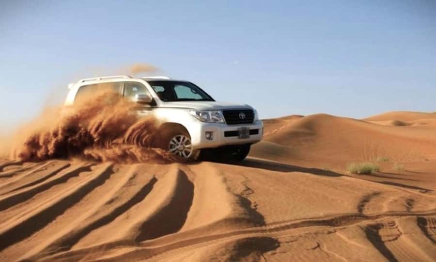 Doha Desert Safari: Sandboarding, Camel Ride & Swimming Fun - Practical preparation for a smoother outing