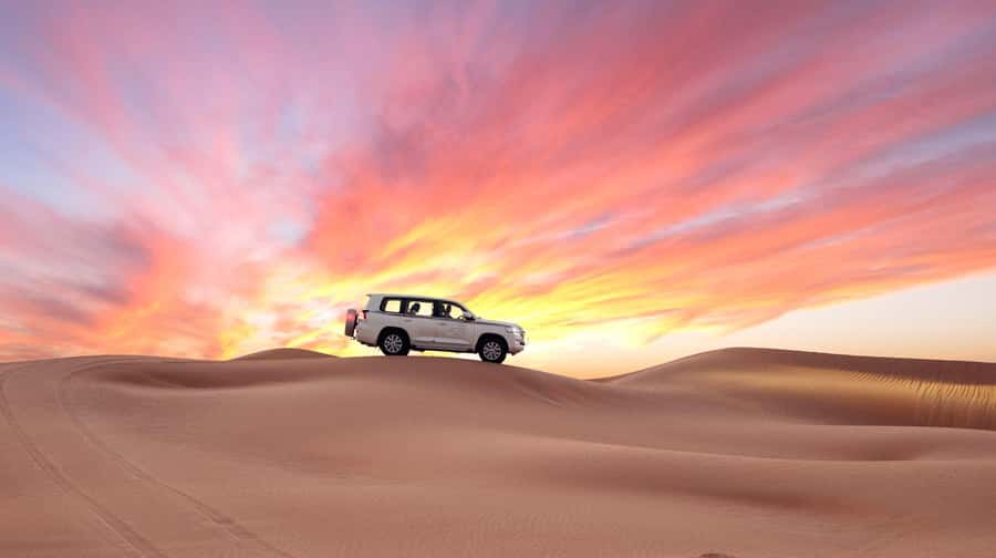 Doha: Desert Safari, Sandboarding, Dune Bashing & Inland Sea - The brief Mesaieed camel stop