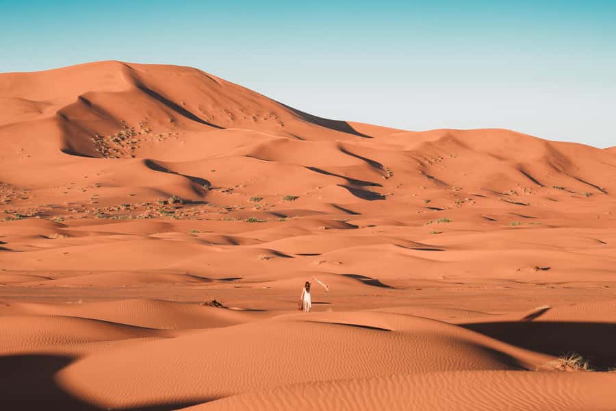 Doha: Desert Safari, Sandboarding, Dune Bashing & Inland Sea - Who will enjoy this most