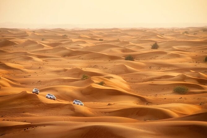 Doha: Desert Safari With Quad bike ,Camel Ride And Sand Boarding - Khor Al Adaid and the inland sea