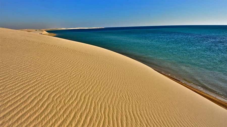 Doha: DesertSafari with Quad Bike, Camel Ride & Sandboarding - Why the Inland Sea is the real prize