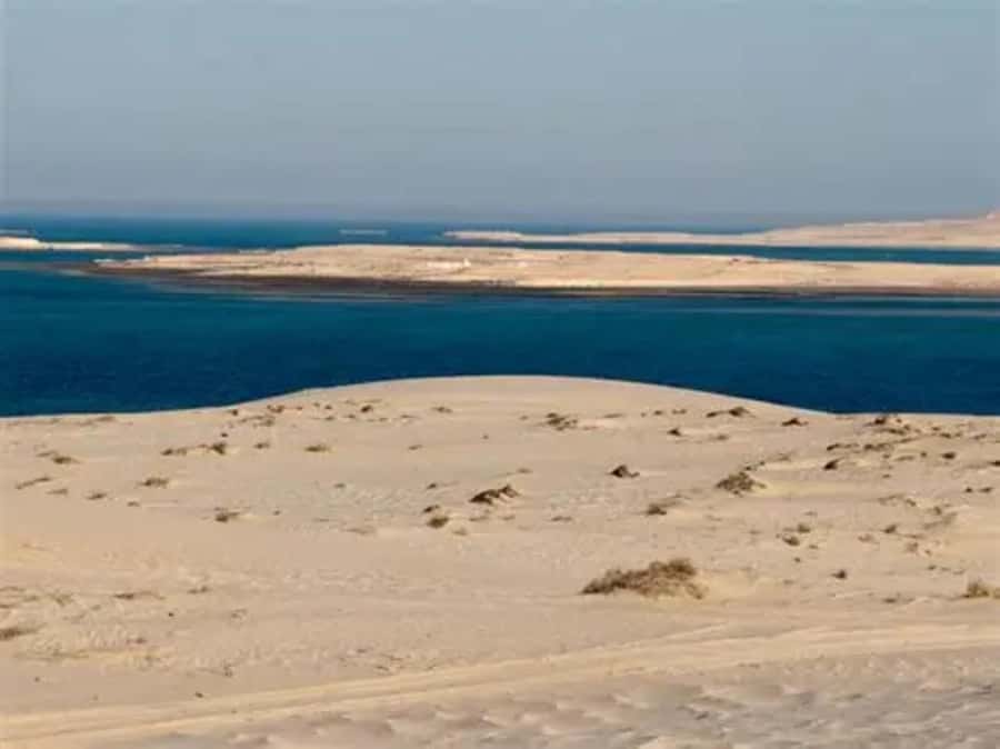 Doha: DesertSafari with Quad Bike, Camel Ride & Sandboarding - How much time do you really get?