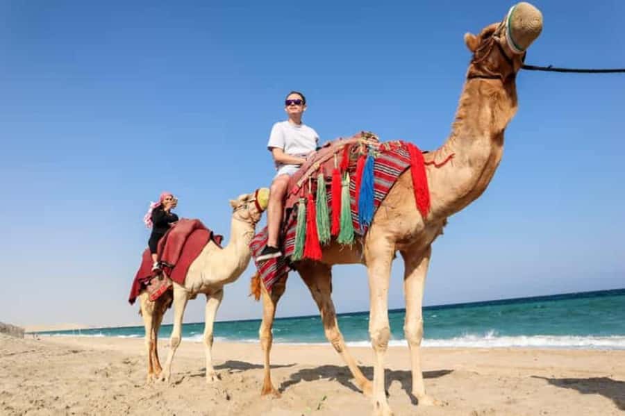 Doha: DesertSafari with Quad Bike, Camel Ride & Sandboarding - What the price offers at $18