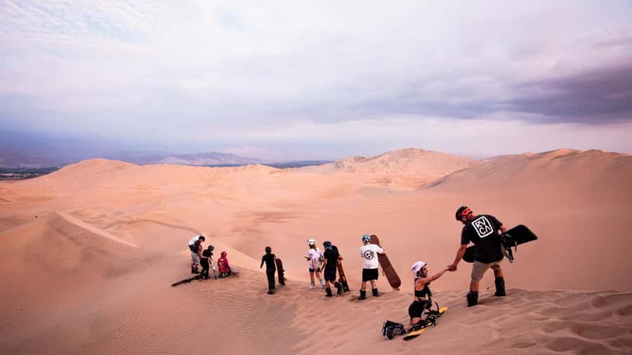 Doha: Dune Bashing Safari, Falcon, Camel, ATV, Sandboarding - Key points to know before booking