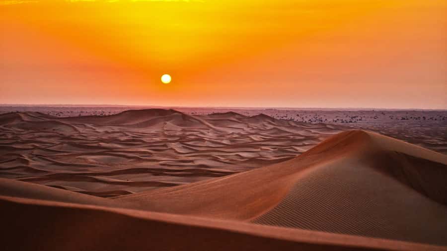 Doha: Dune Bashing Safari, Falcon, Camel, ATV, Sandboarding - From Doha to Sealine, the desert begins