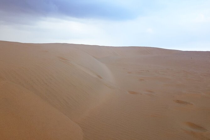 Doha: Escape to Eternity, Relaxing Desert Wonders with Camel Ride - What the calm format does, and does not, include