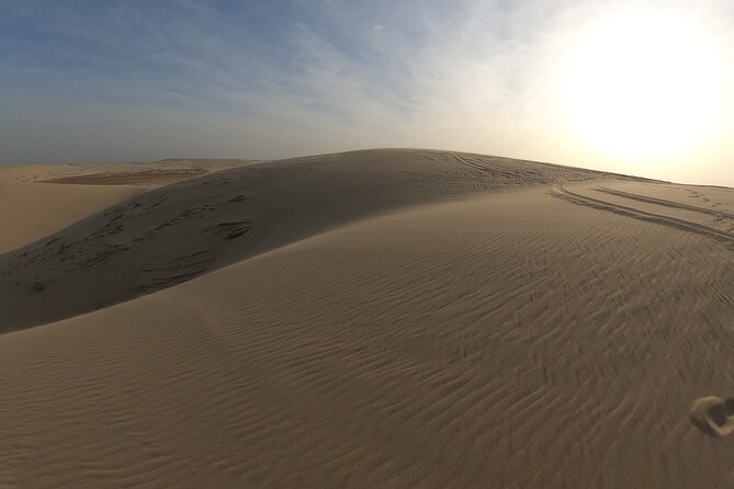 Doha: Escape to Eternity, Relaxing Desert Wonders with Camel Ride - Guides and the value of the service