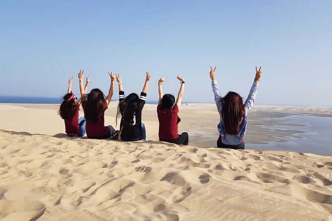 Doha : Full Day Desert Safari | BBQ Dinner | Inland sea - Sealine Beach: tyres, tea, camels, and falcons