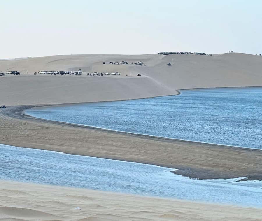 Doha: Guided Desert Safari Tour with Pickup & Drop Service - From Doha streets to open desert