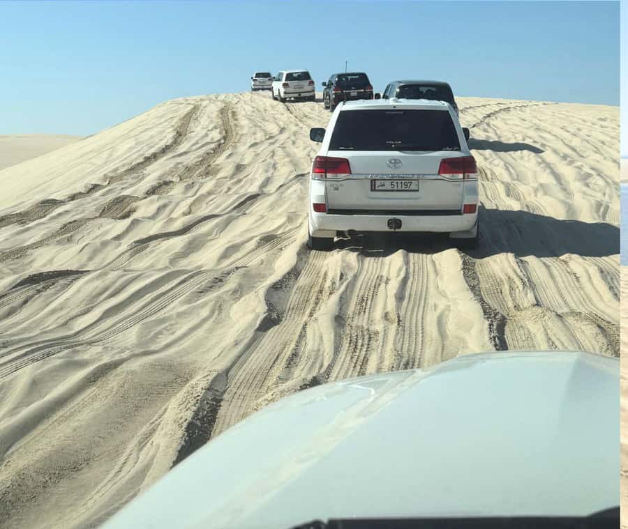 Doha: Guided Desert Safari Tour with Pickup & Drop Service - The return ride and Doha drop-off