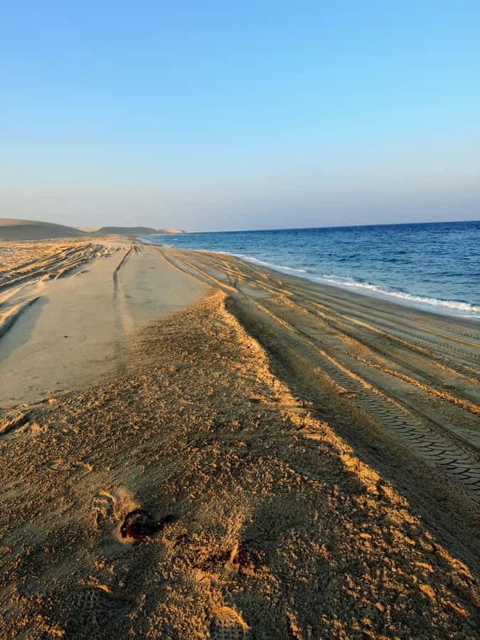 Doha: Guided Desert Safari Tour with Pickup & Drop Service - Guides, safety, and the feel of the outing
