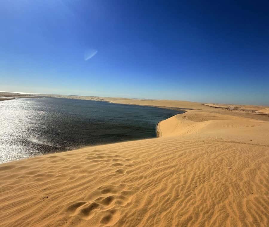 Doha: Guided Desert Safari Tour with Pickup & Drop Service - Should you book it?