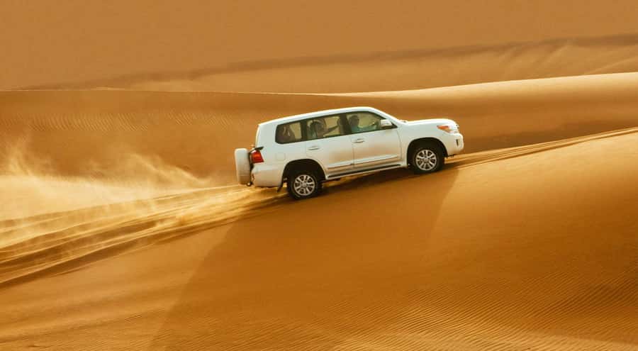 Doha: Half Day Desert Safari, Dune Bashing, Camel Ride - Who should book this safari