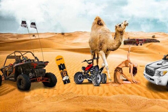 Doha: Half Day Desert Safari with Camel Ride and Inland Sea Tour - Five things to know before you book