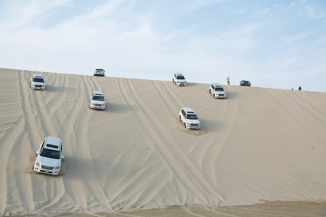 Doha: Half Day Desert Safari with Camel Ride and Inland Sea Tour - From Doha to the open desert