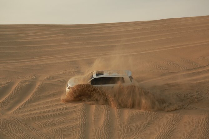 Doha: Half Day Desert Safari with Camel Ride and Inland Sea Tour - The guide can make or break the ride