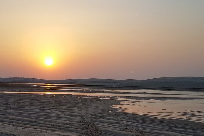 Doha : Half Day Desert Safari With SandBoarding and Camel Ride - Who should book this experience