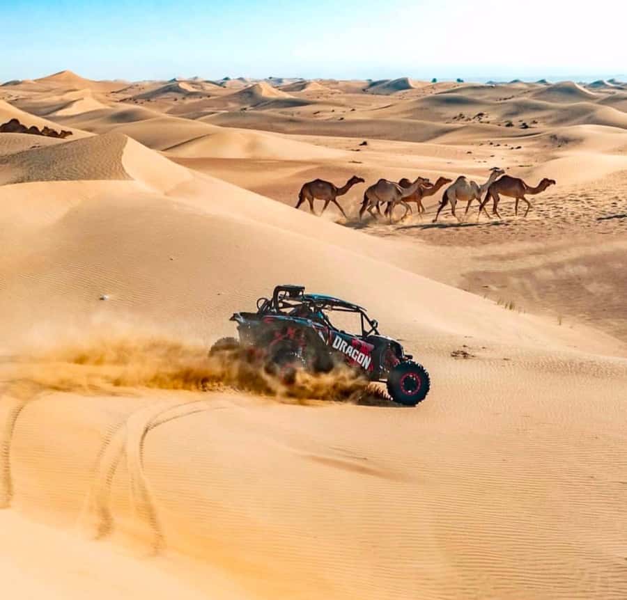 Doha: Inland Sea, Desert Safari, Camel Ride and Sandboarding - The Inland Sea: Where Sand Meets Salt Water