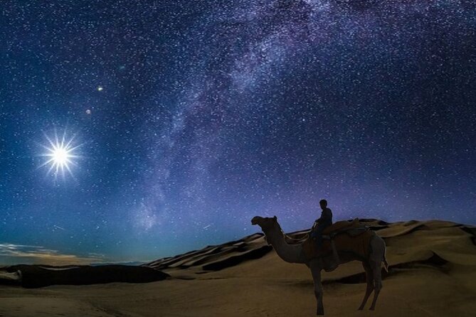 Doha Night Desert Safari Camel Ride Dune Bashing with Transfer - Leaving Doha for Sealine Beach