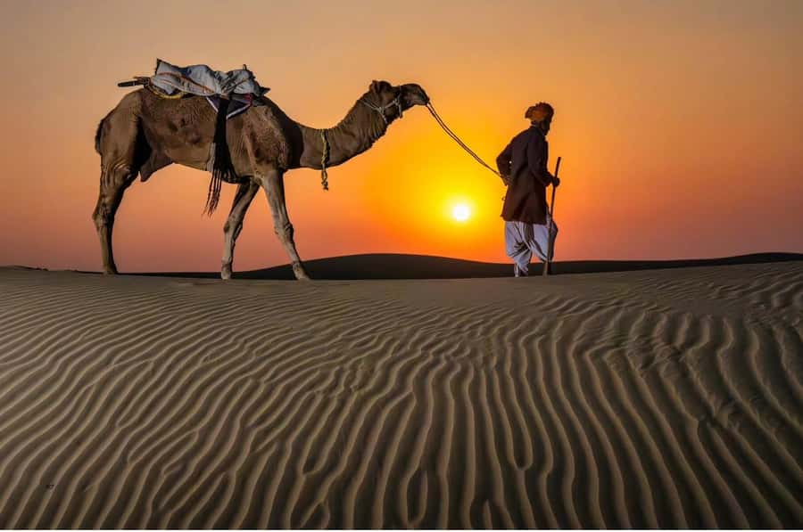 Doha Night Desert Safari Stargazing And Camel Ride - From Doha to the open desert