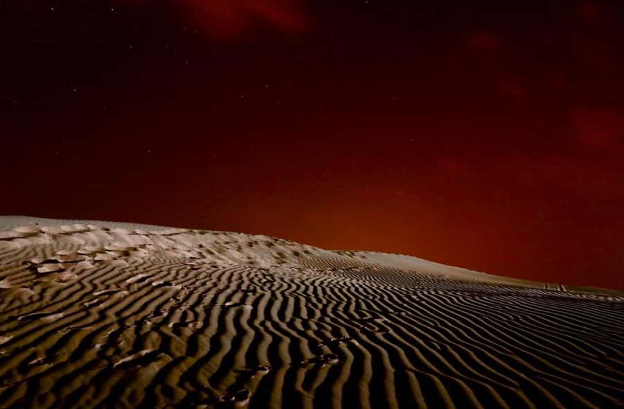 Doha Night Desert Safari Stargazing And Camel Ride - The Inland Sea, camel camp, and Arabic coffee