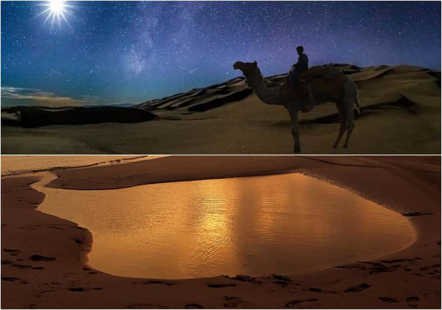Doha Night Desert Safari Stargazing And Camel Ride - What the guides add to the experience